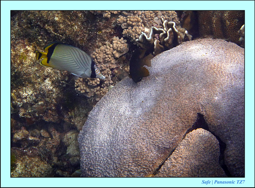 2012 - 07 - Apoh Island 09